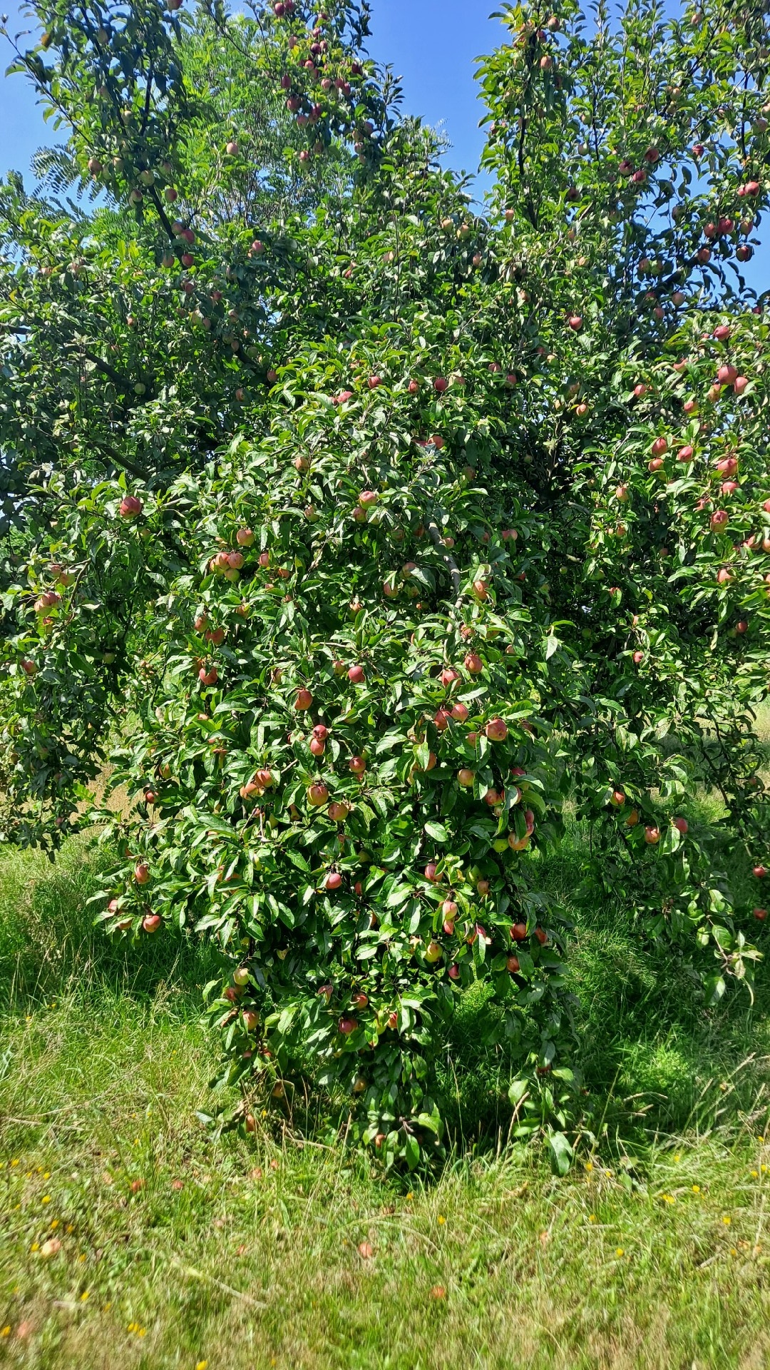 dd53c252-5a80-484f-9996-14558a03fd1d