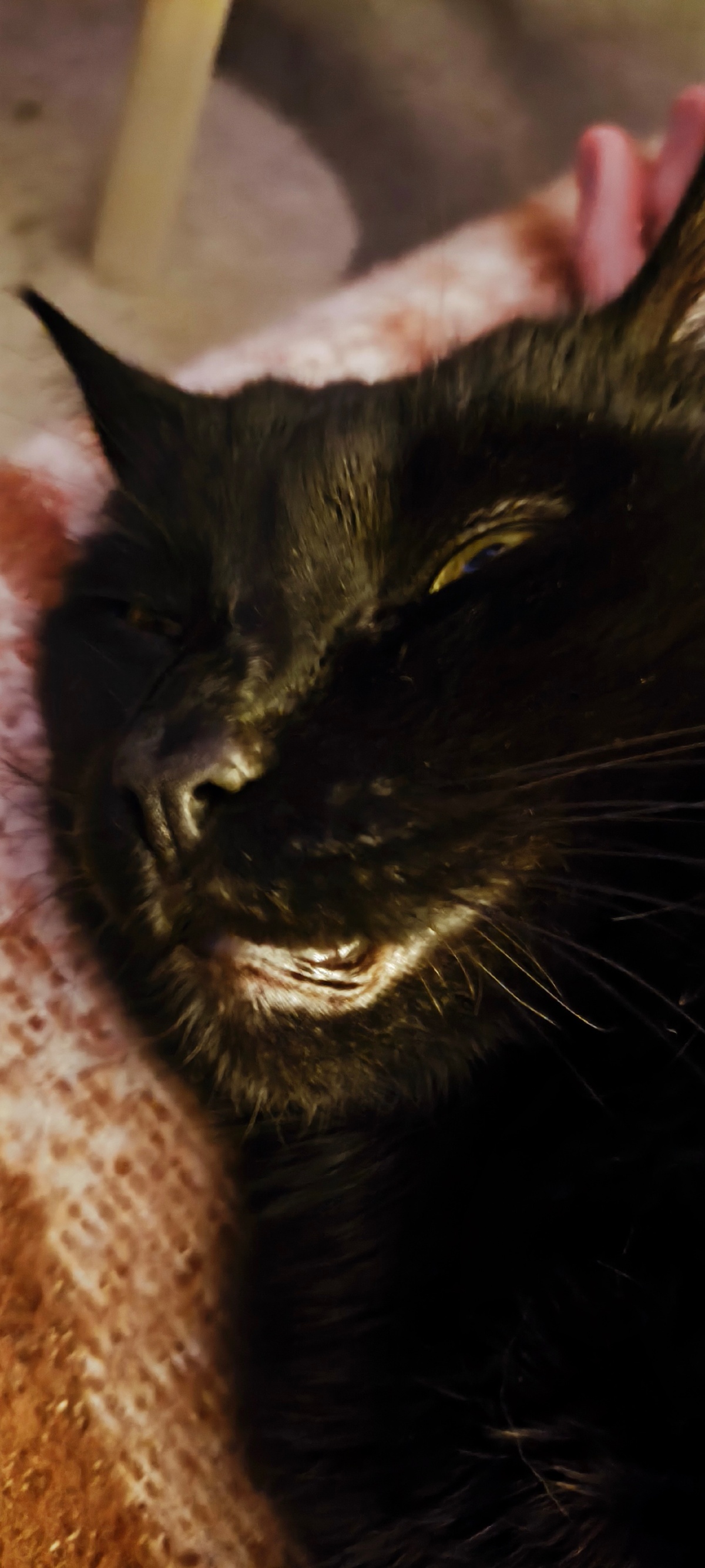 8453648a-3bbc-4a6d-a078-c7f662eb3faa