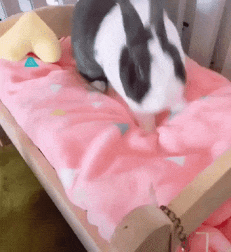 267458fd-68e9-41cf-9d7d-6b1a68bb77e2