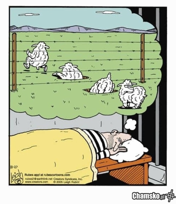 0f8cfc41-b385-40de-a947-6c957cd5787c