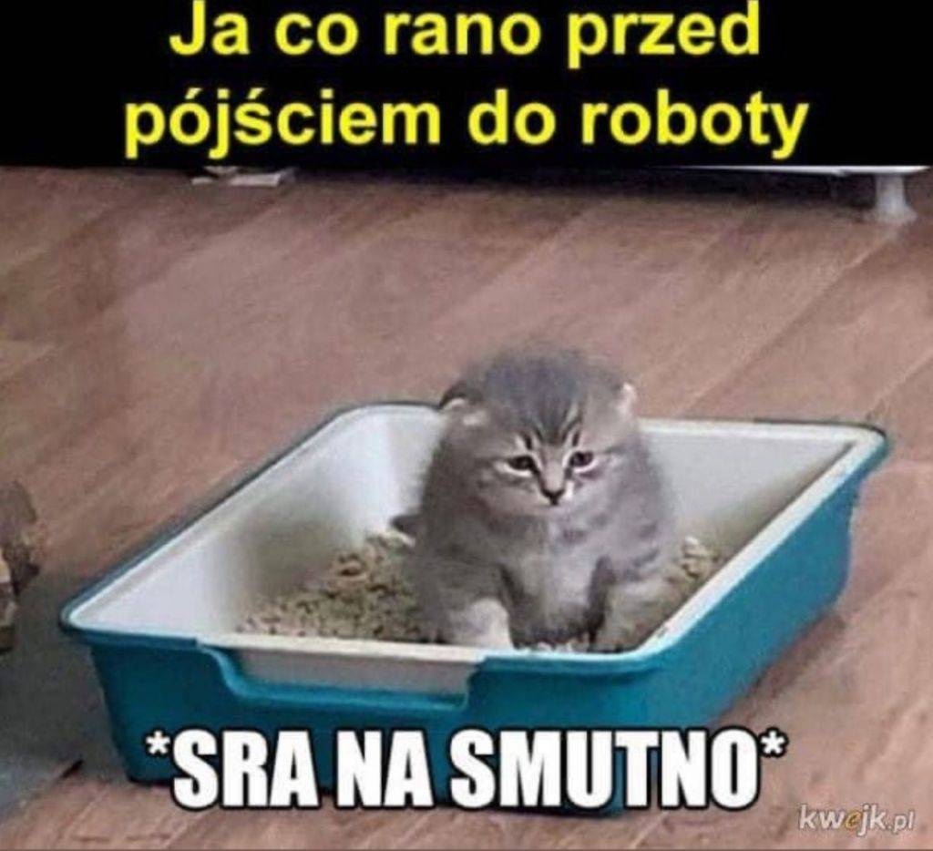 b729d394-3fc8-4fe6-9d00-f81bbd60133f