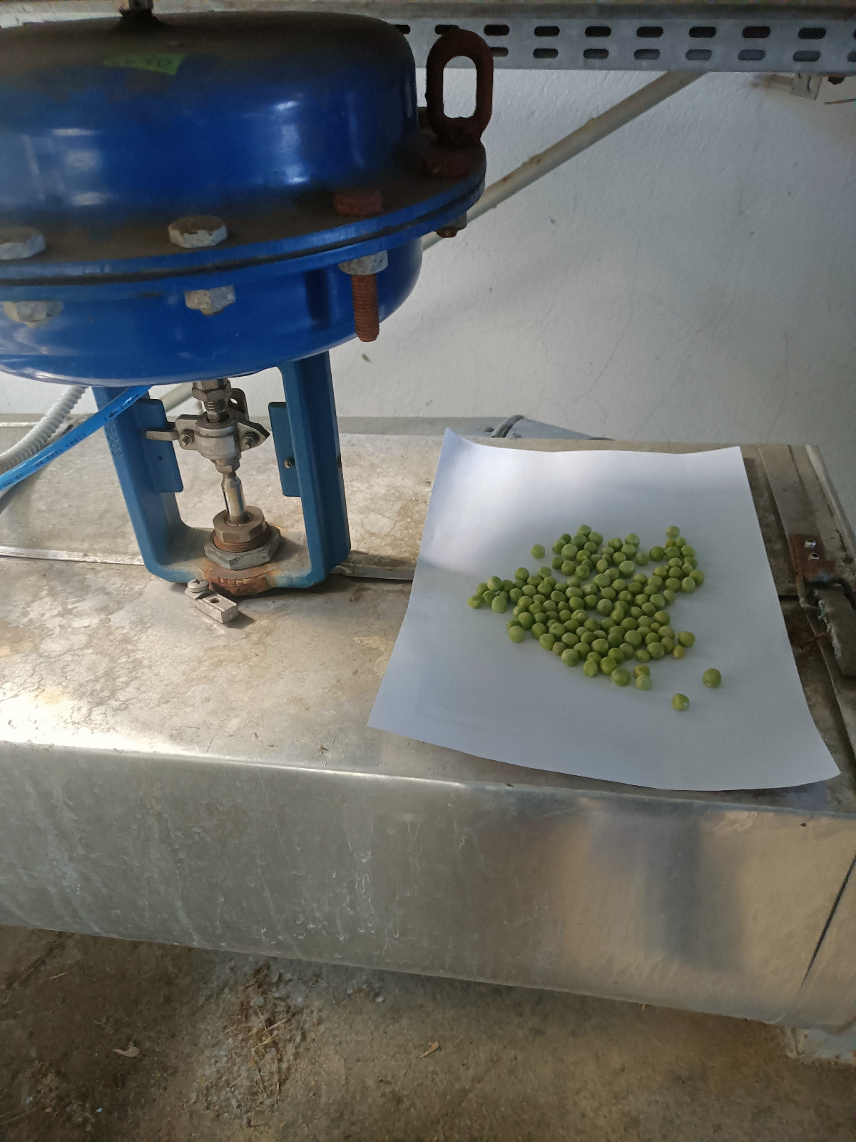 97c51d3a-b3c8-4c1a-b278-b8b29932d9df