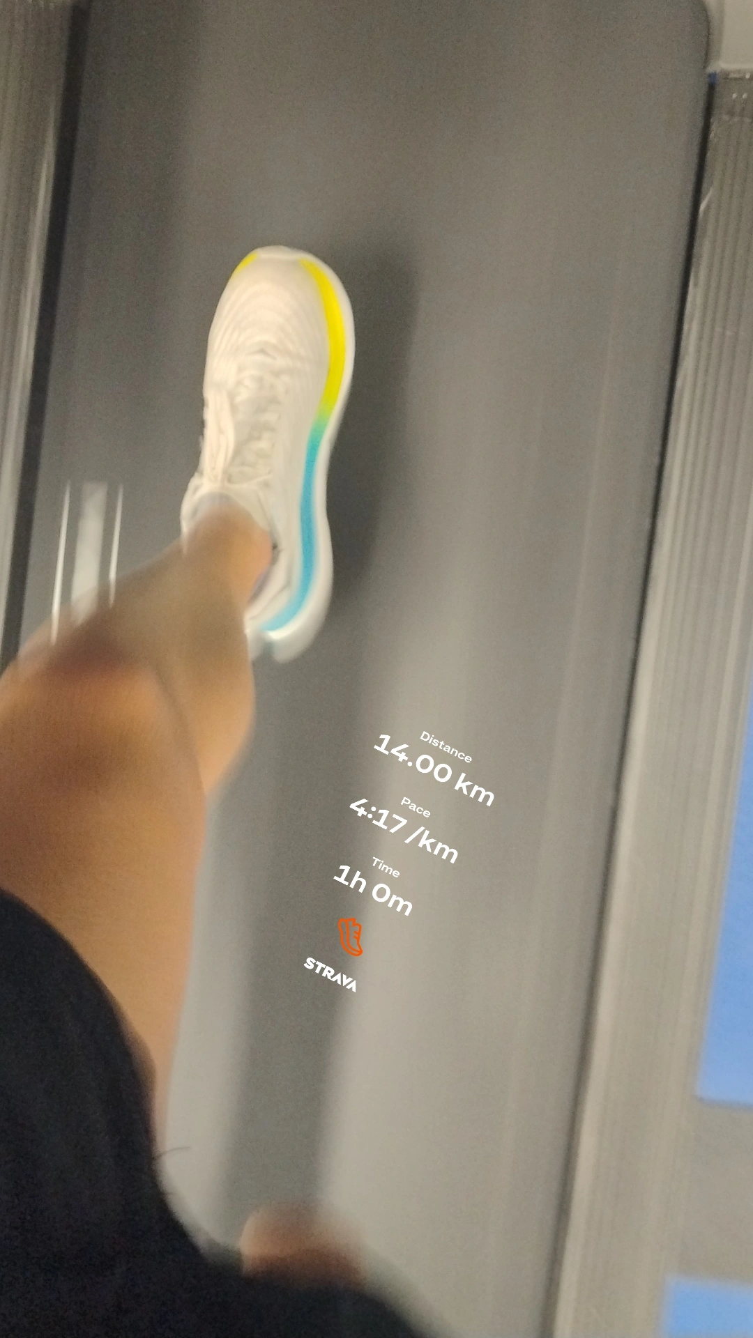 ae8ad8cb-a291-4ed6-b4cd-9f61578bef19