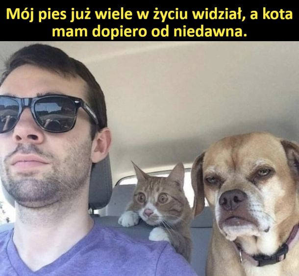 3f6dad91-8547-465e-93c1-4863ad085b1c