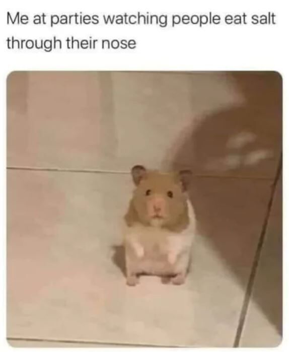 285cb788-4cc2-4740-bb03-496f58a9f630