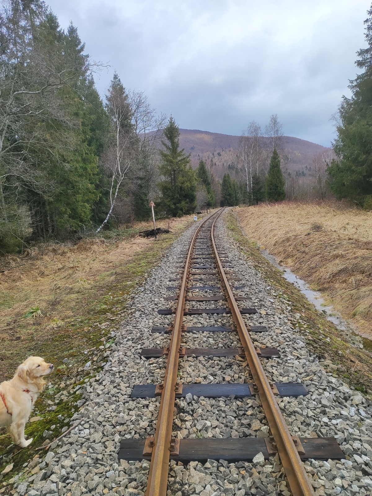 324f7501-e66d-40e7-b4d3-56d32366c02d