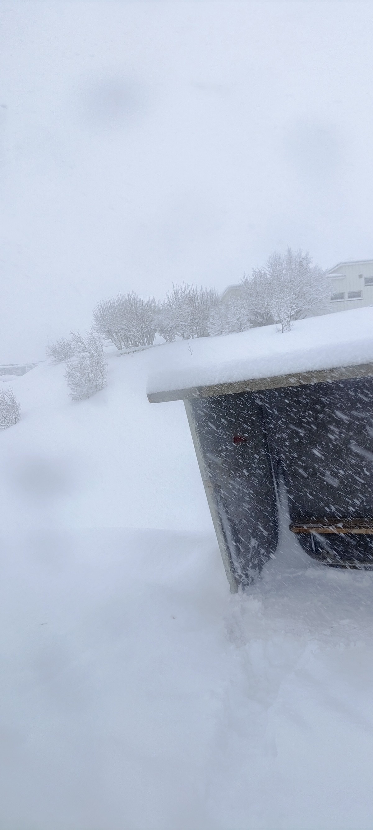 b6975c1a-8251-468c-b84e-682f86af2428