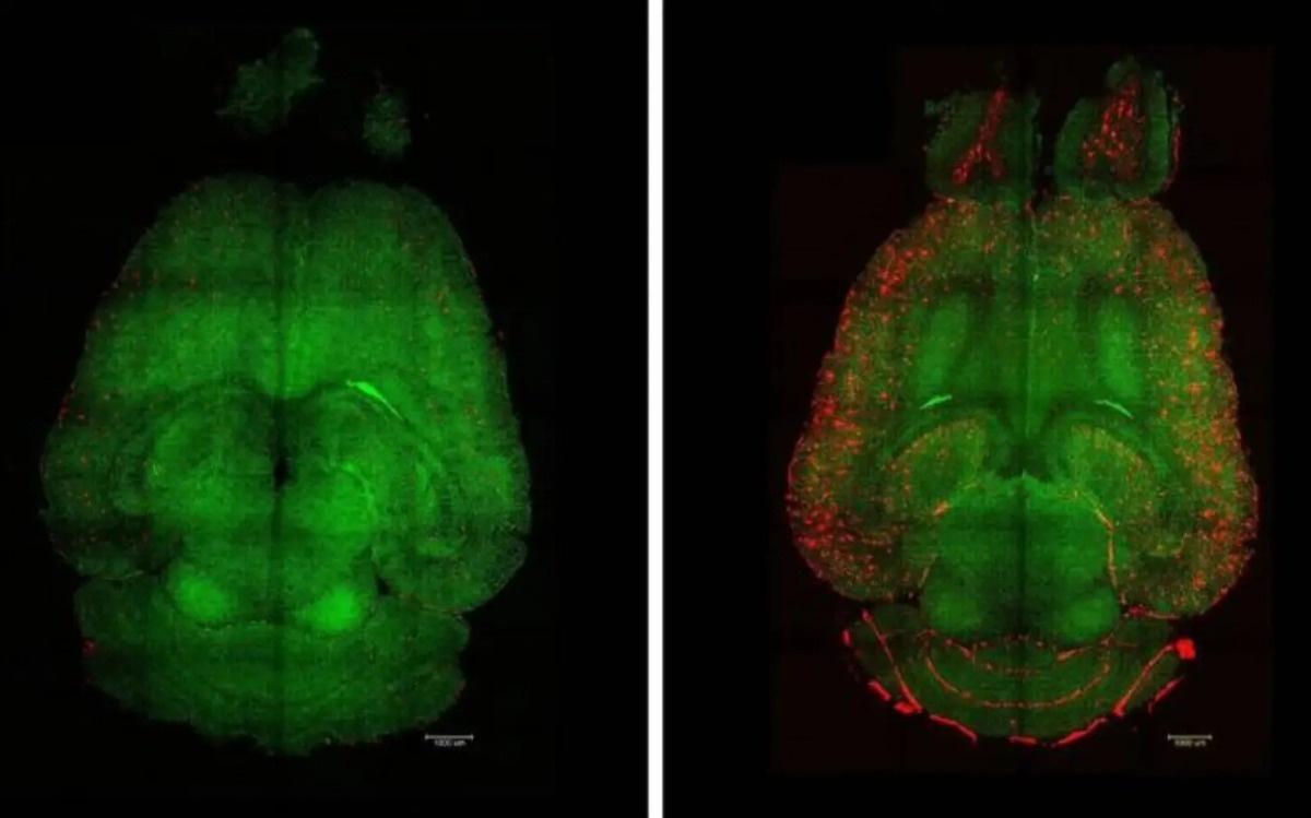 19fe3822-3a1f-4996-9d22-9af0405f936d