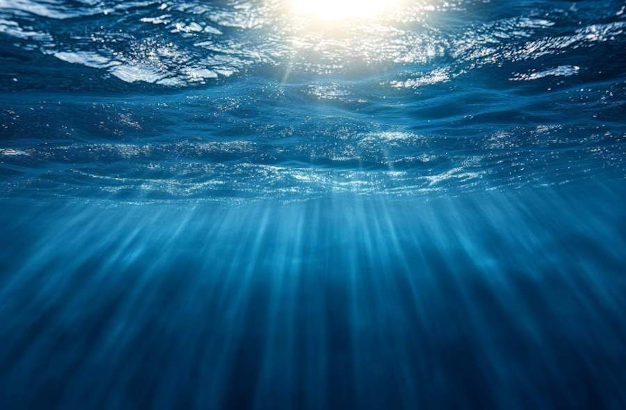 99,999 procent dna morskiego pozostaje niezbadane