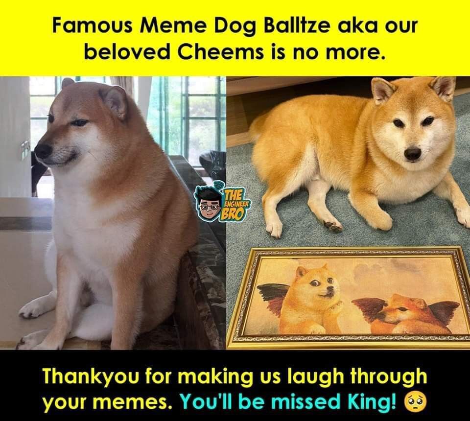 e1fb35da-7f75-4506-bdd7-6bd36584b310