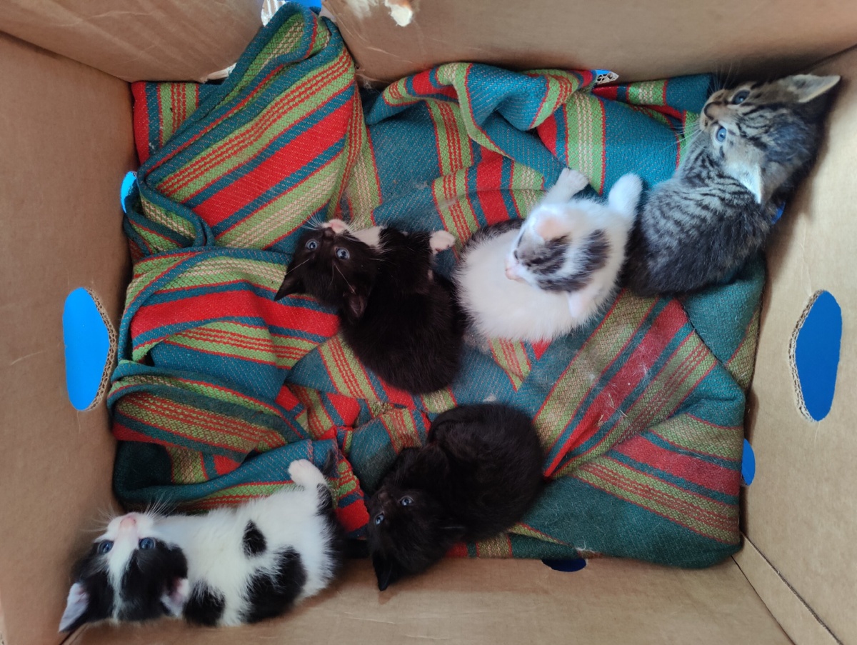 d314c8a6-ac6e-4aff-8dbb-3bc92846877a