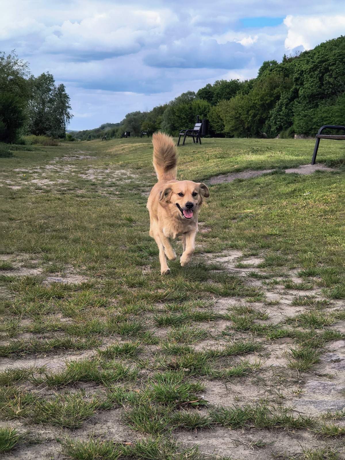 0873b90b-99a4-48c2-90f4-6325f2f469ce