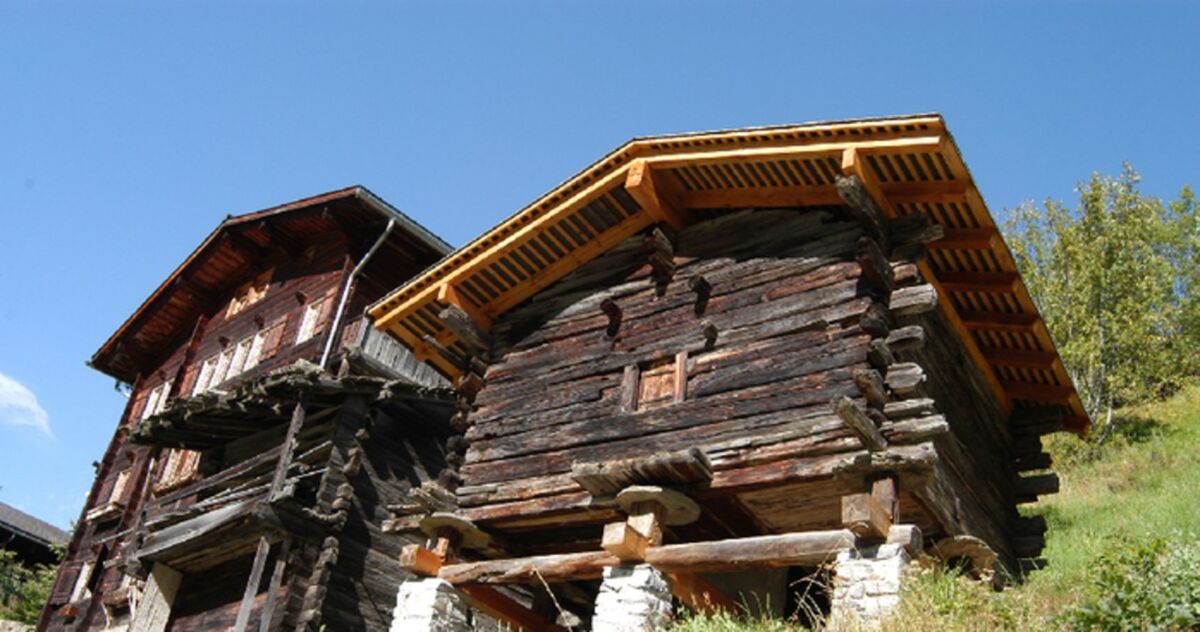 Kryzysy i sukcesy Europy w drewnie zapisane