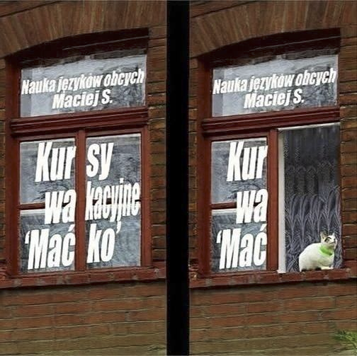 92547e7b-b41c-4a96-8e99-3ac69d91c540