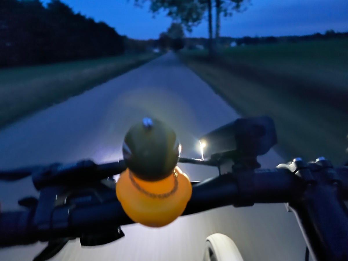 205f28b2-8a8b-46c5-a290-71ceac1a9427