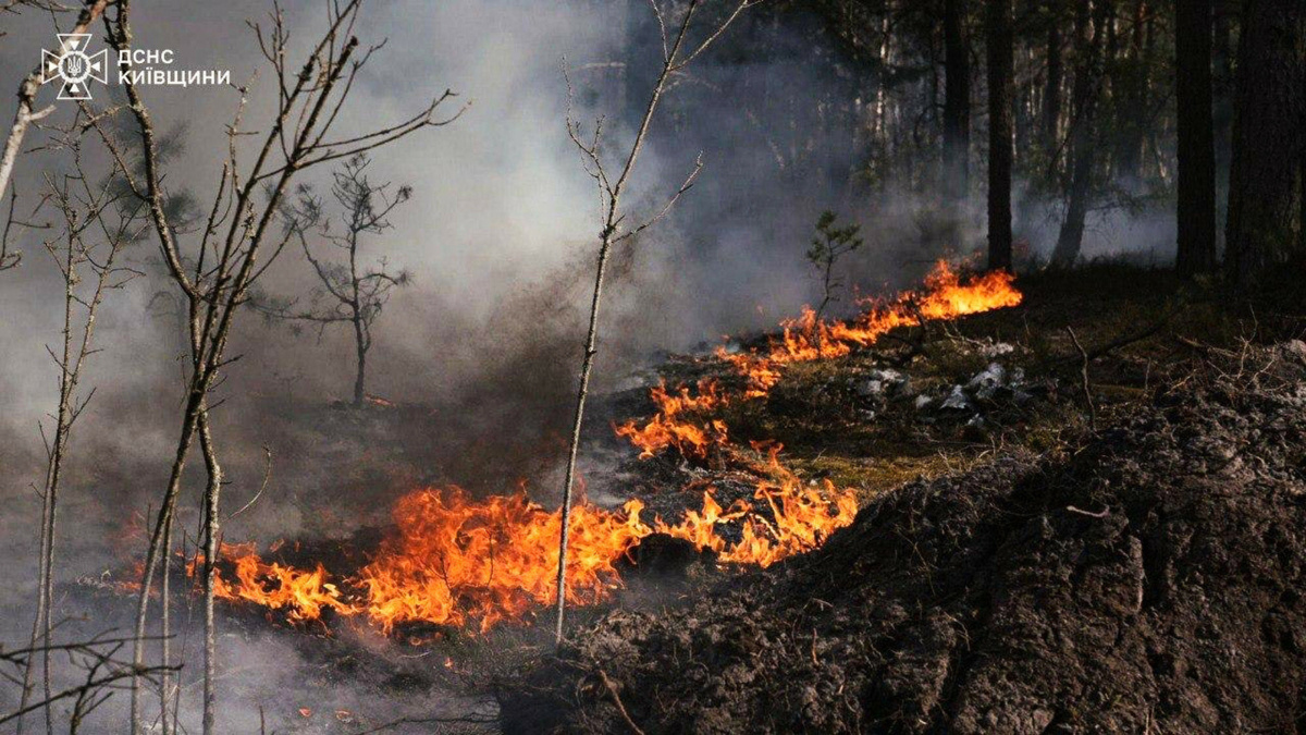 Apokaliptyczne zdjęcia z Czarnobyla. Ogień pochłonął całe wsie