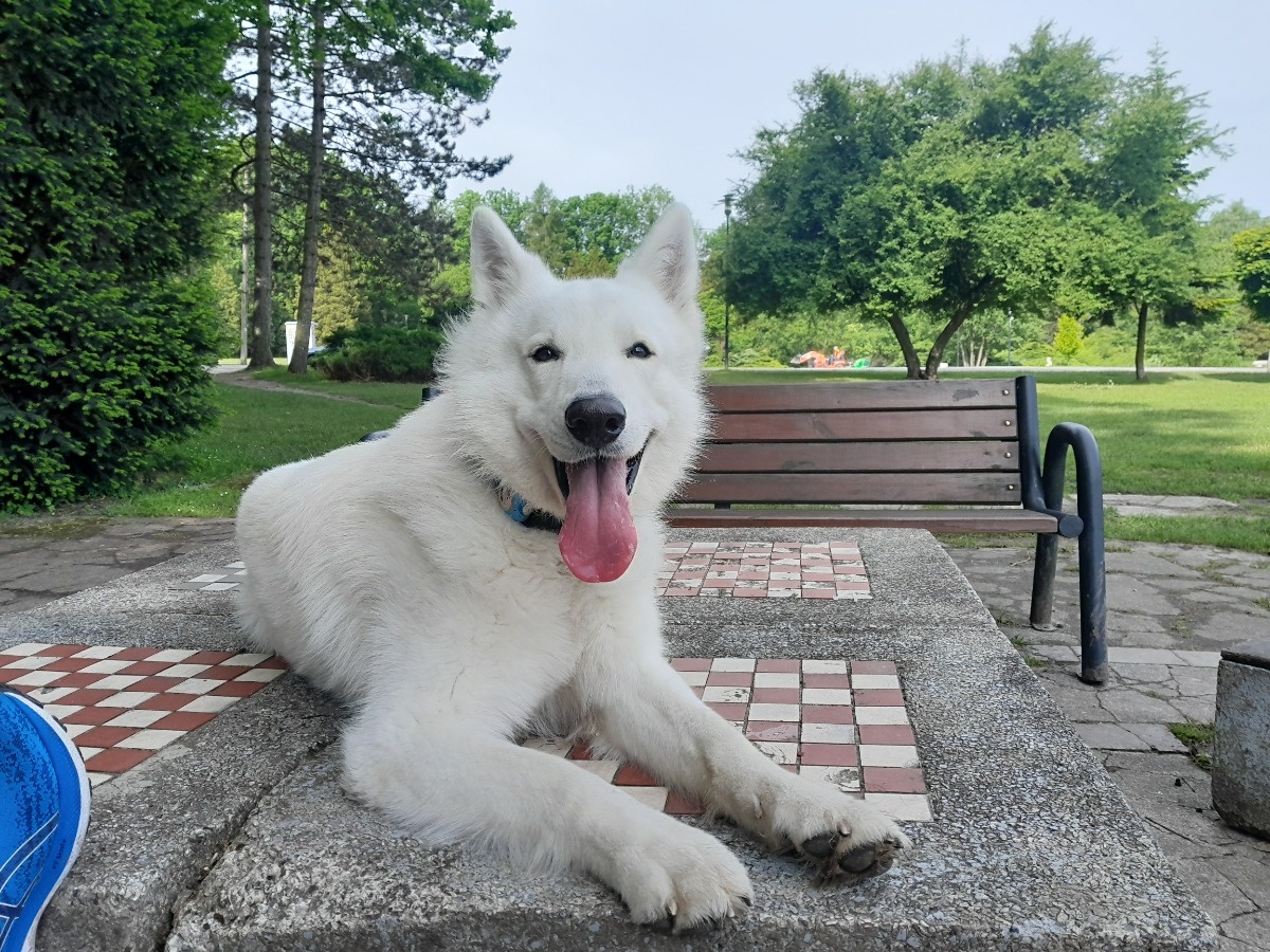 b60535c1-e7d9-4ba6-a83e-e682295d1080