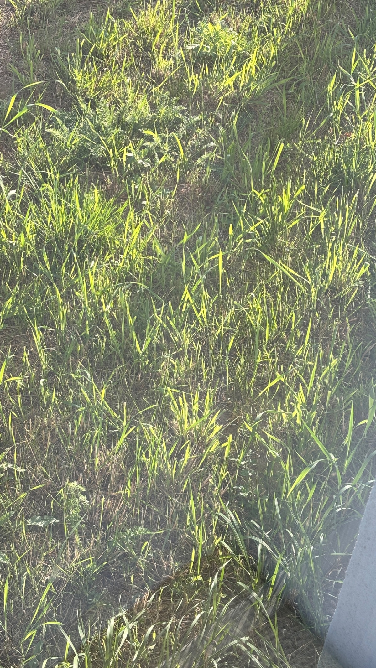 ddca68ca-47b5-40b4-ba7c-3e5a99b0318f