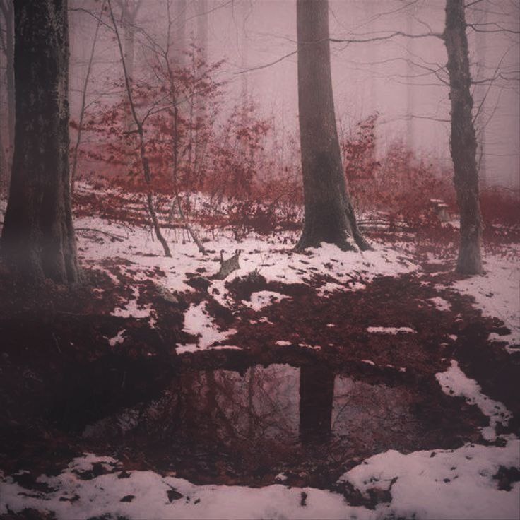 2d81126e-342f-4951-b09e-074628ba6ad7