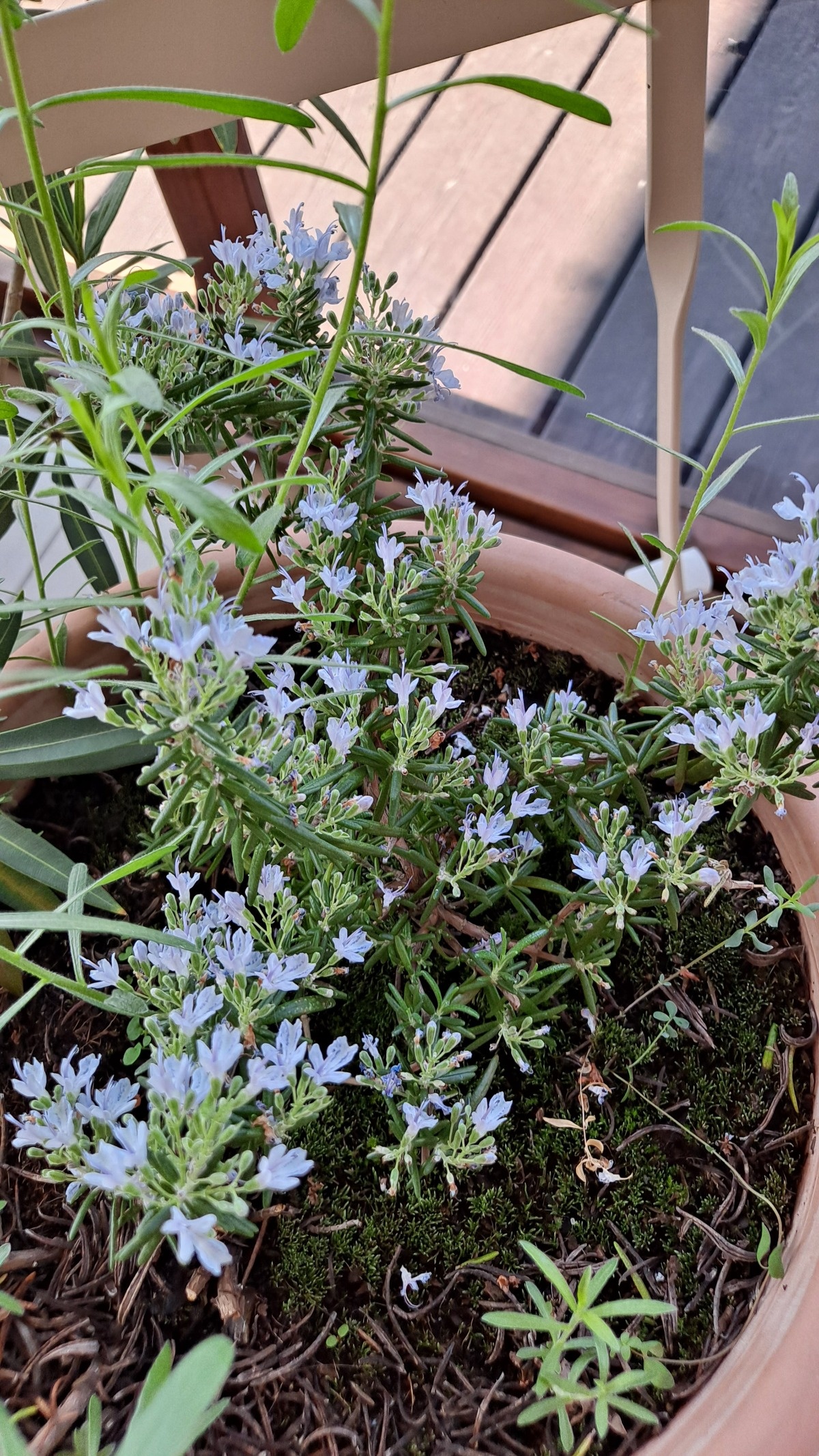 69a0550c-6633-4e5e-ab0e-faf5594c6917