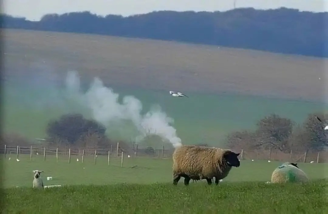 aa733511-4960-43e4-919d-e07a7a710c4f