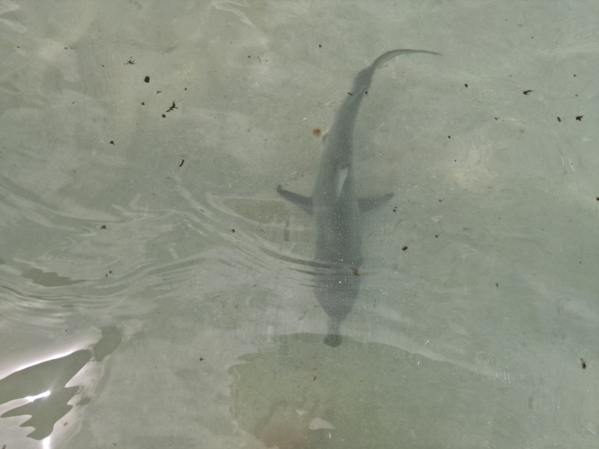 b8890a15-efb8-4fb4-a330-5c17005ae4a7