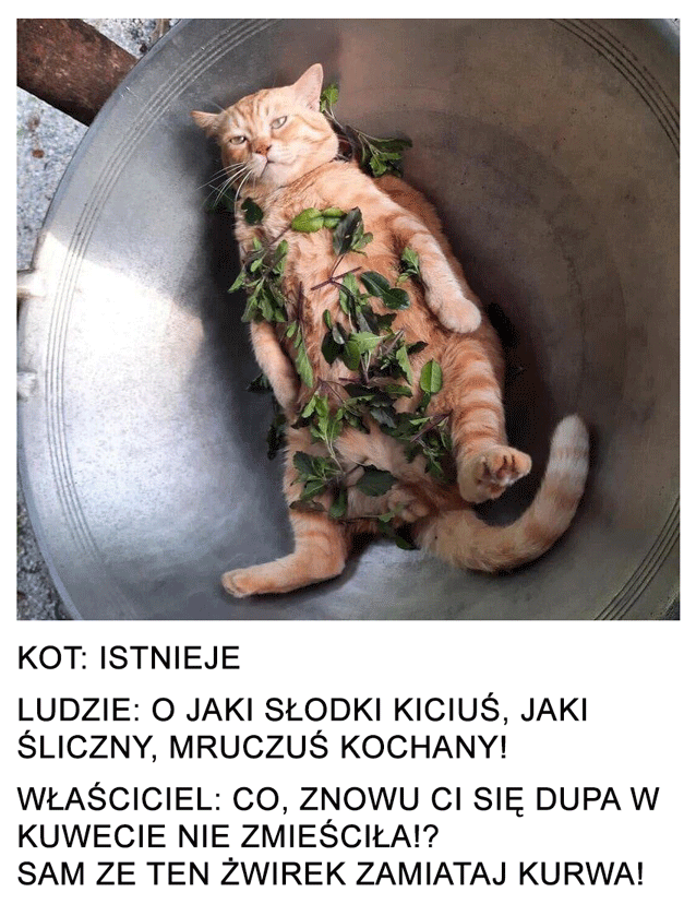 ad8ef6e6-7308-44b4-96e7-9ac316bdcc18