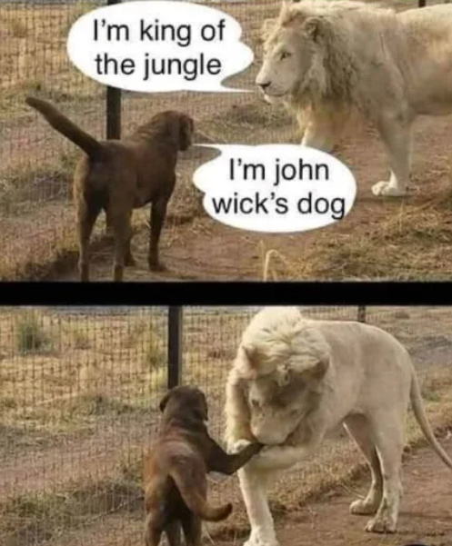 76a33ead-ac64-4bd3-ac42-d940f72d8eab