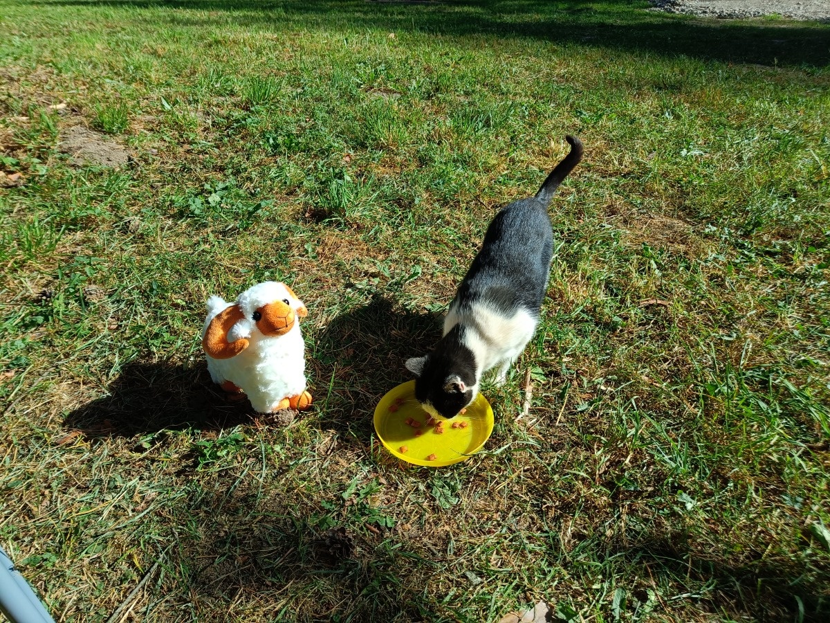 485b69f4-b525-4fdc-a78f-782d7bc6d95f