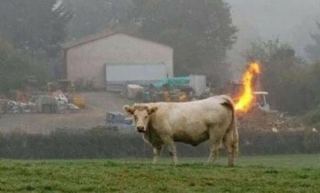 b1009115-b61c-4c50-bbd0-66d69b192781