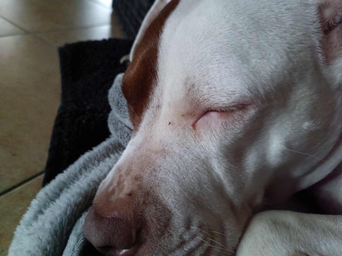 324cd7c5-dd73-419b-80a3-4292a10bed36