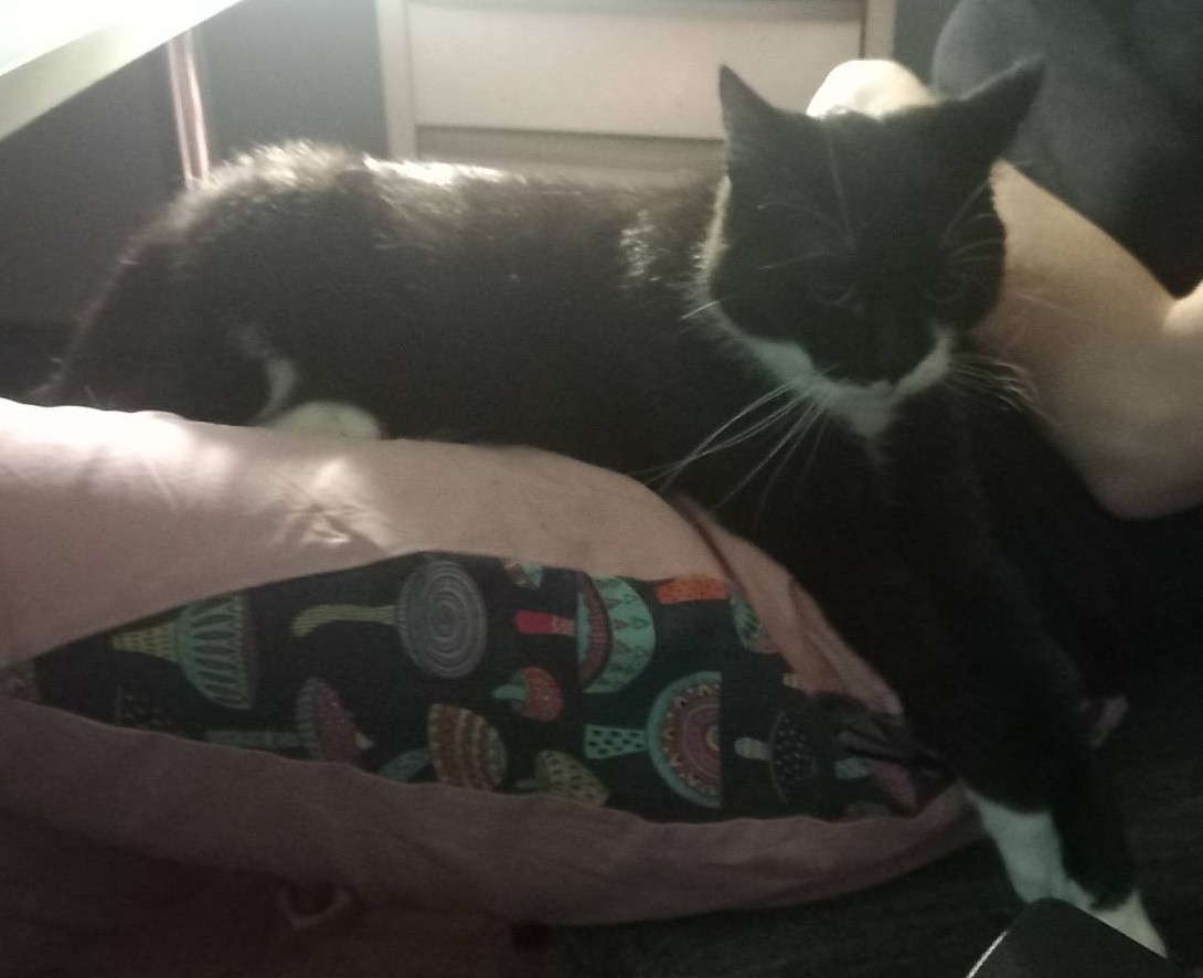 91d7ecc4-1a56-4800-9f1c-42d8d527326c