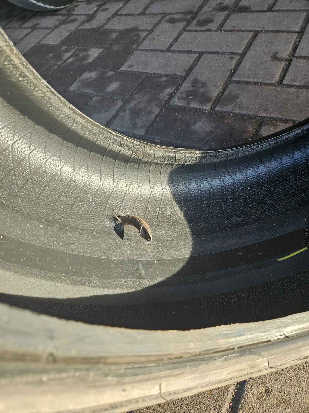 696b1d3e-584b-47d7-9311-ecfe1aacc55d