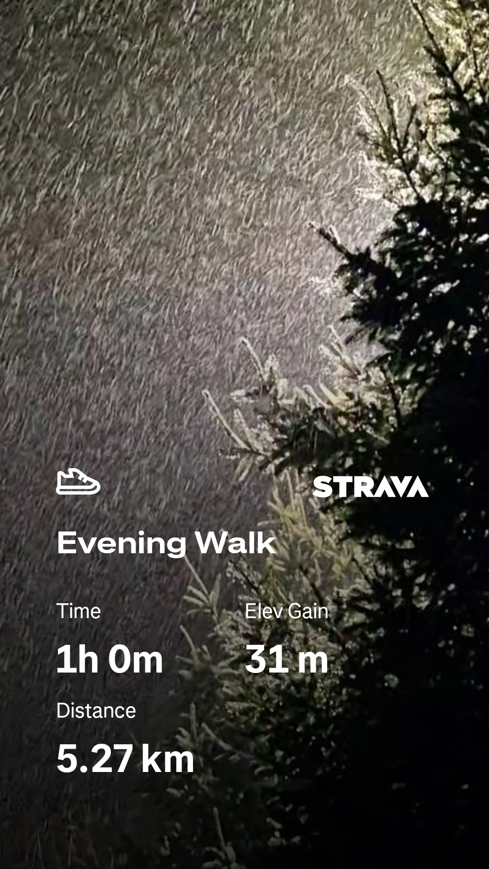 5df06375-f7f8-46f2-9cff-d87264e36ea5