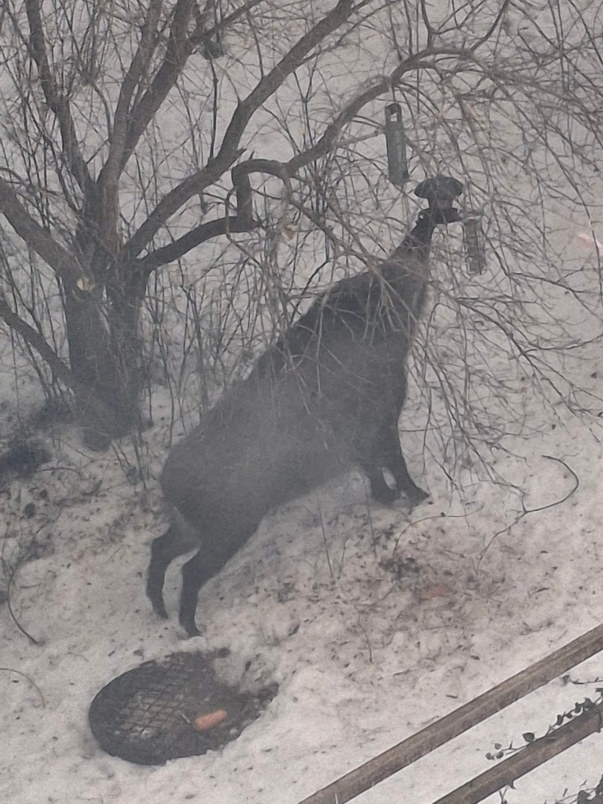 b85bb69f-f230-4566-bd56-43361afa2028