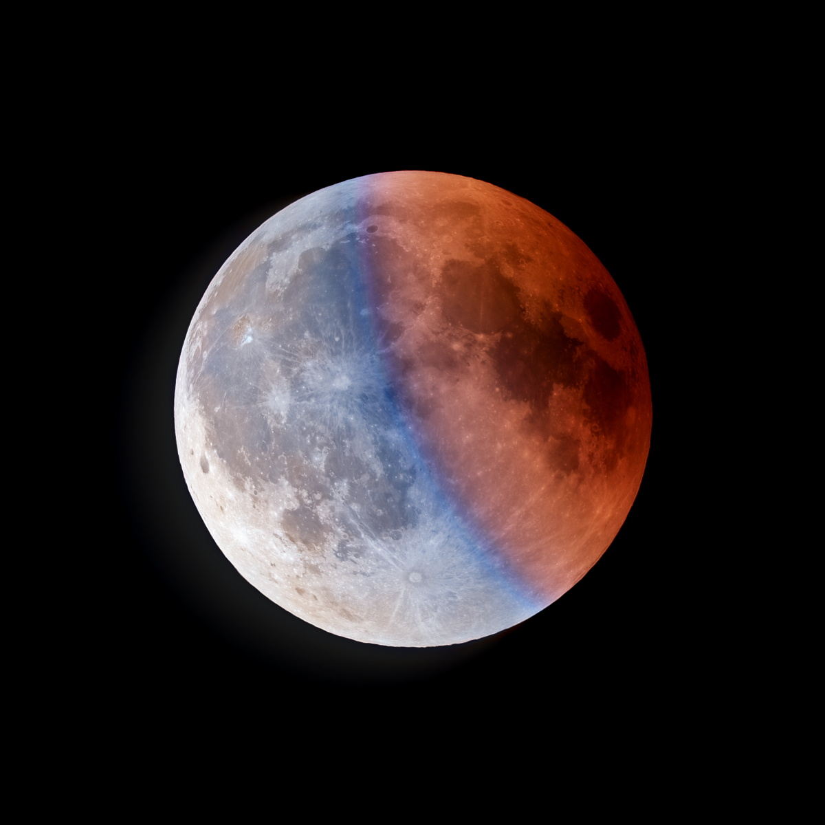 bb77a477-0af3-4e85-9311-37b477fdebed