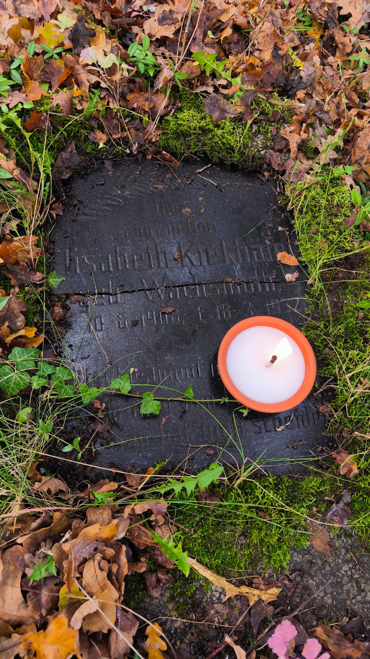 43df406a-be82-4ce5-b309-81f8daec58f6