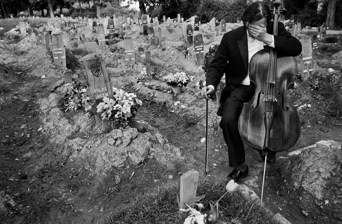 35449809-98bf-4866-8b4f-88460868d913