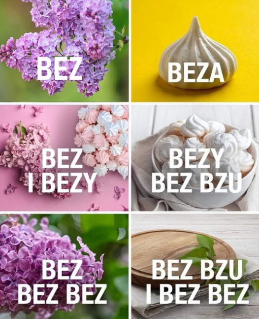 3f1ce8a2-14db-4d8f-934d-5273e70bd991