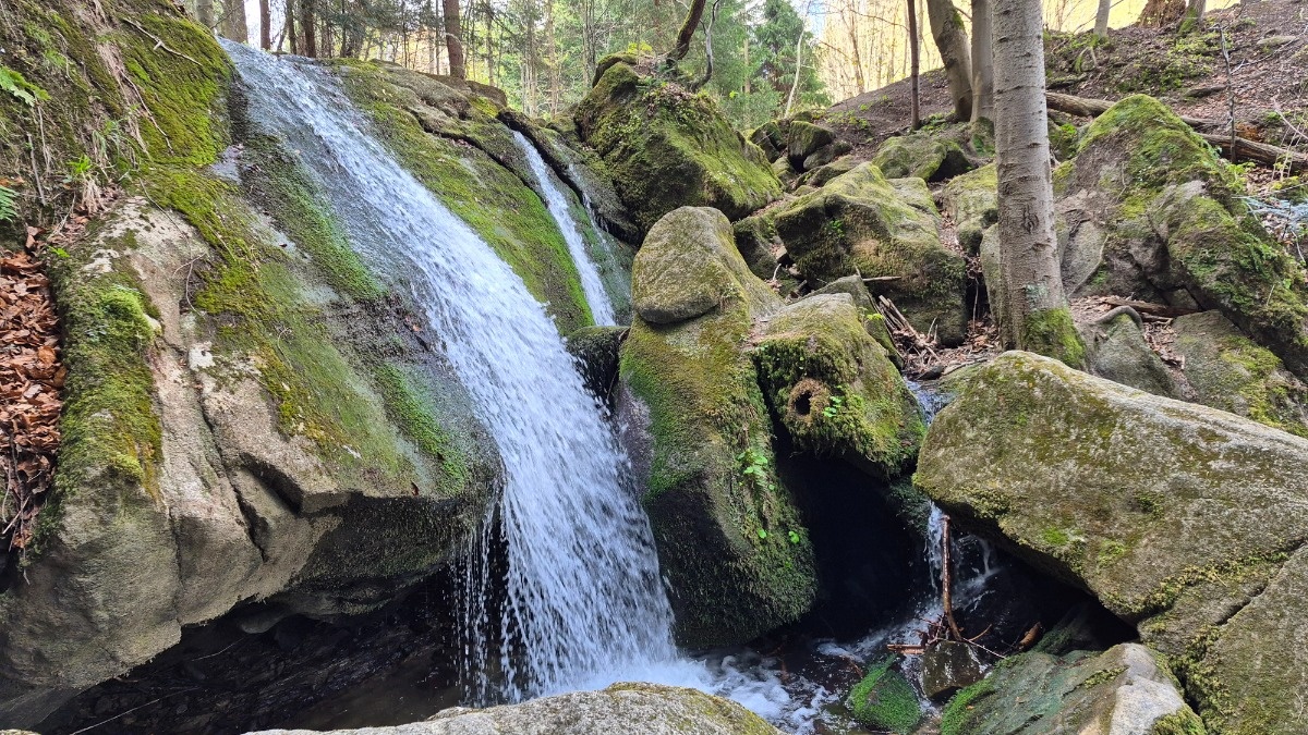 b1d66064-d196-4d29-9440-e754a0320a69