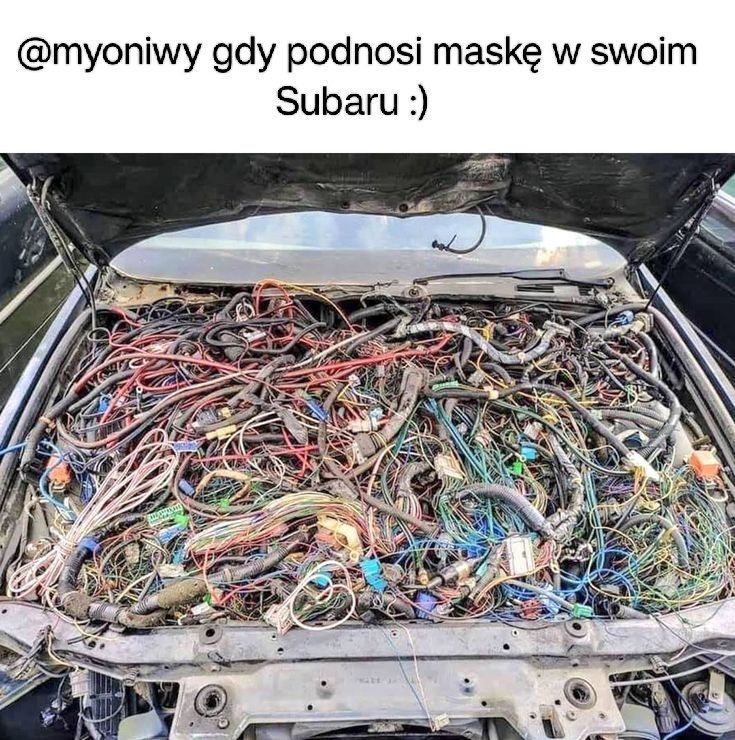 d13d0061-ab9b-4f37-9200-efc45844c3cc