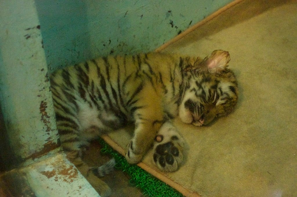 3bdb6ff0-ebb5-4ad5-9aeb-9c99da25f1b5