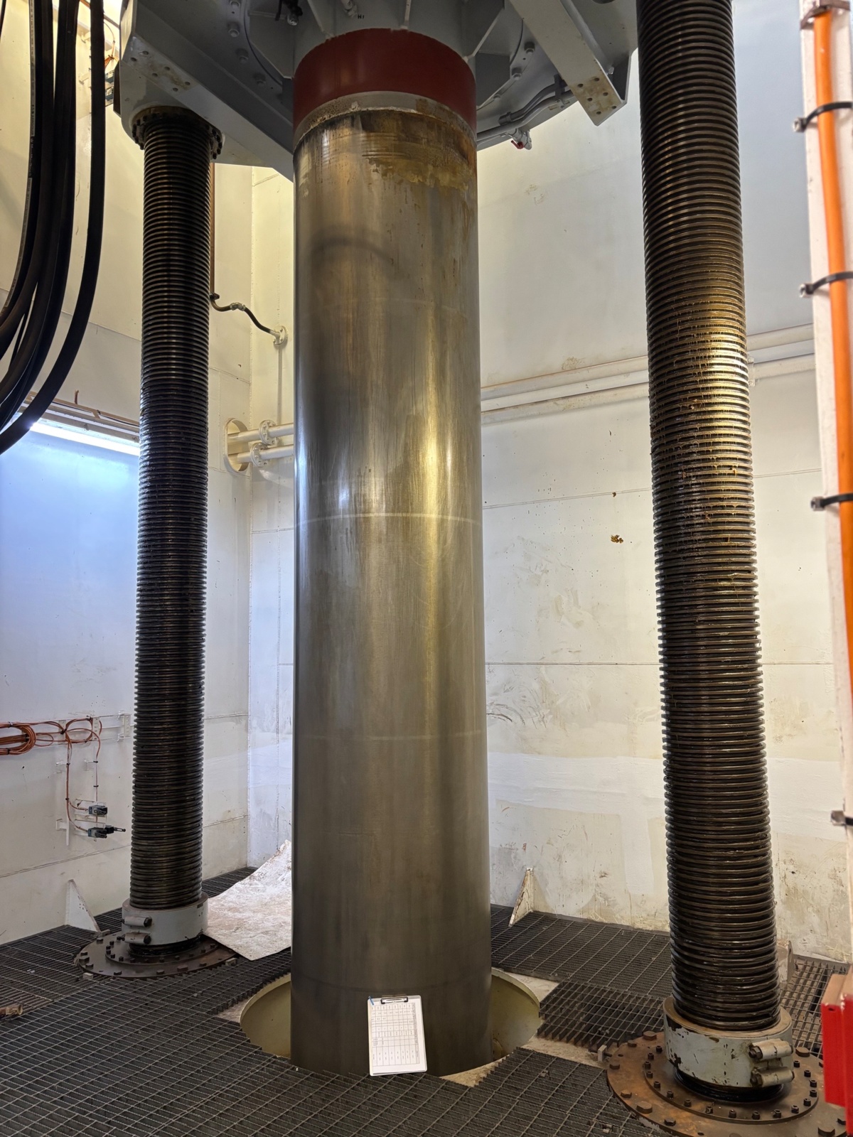 1019f210-7e71-4b1c-80a7-5d4d5a2dfdfa