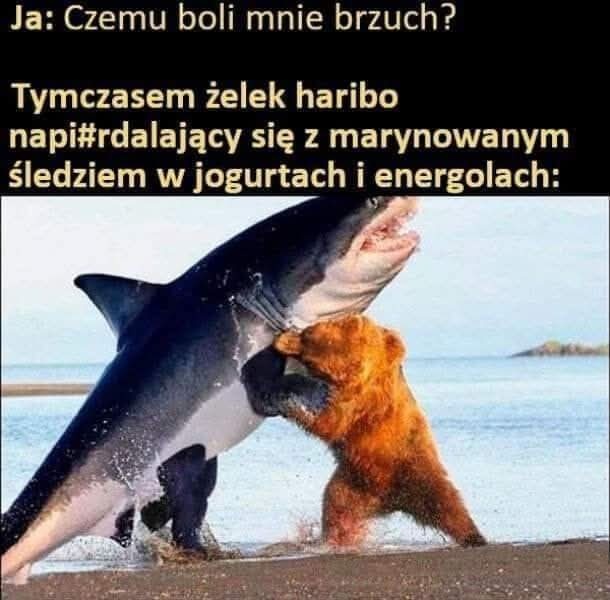 e4eddda7-3db5-4306-bc8a-cd8f716454b2