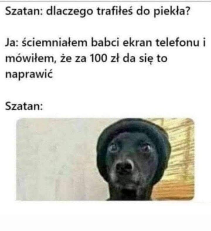 cf69300f-39ca-4689-9751-50dd438fc486