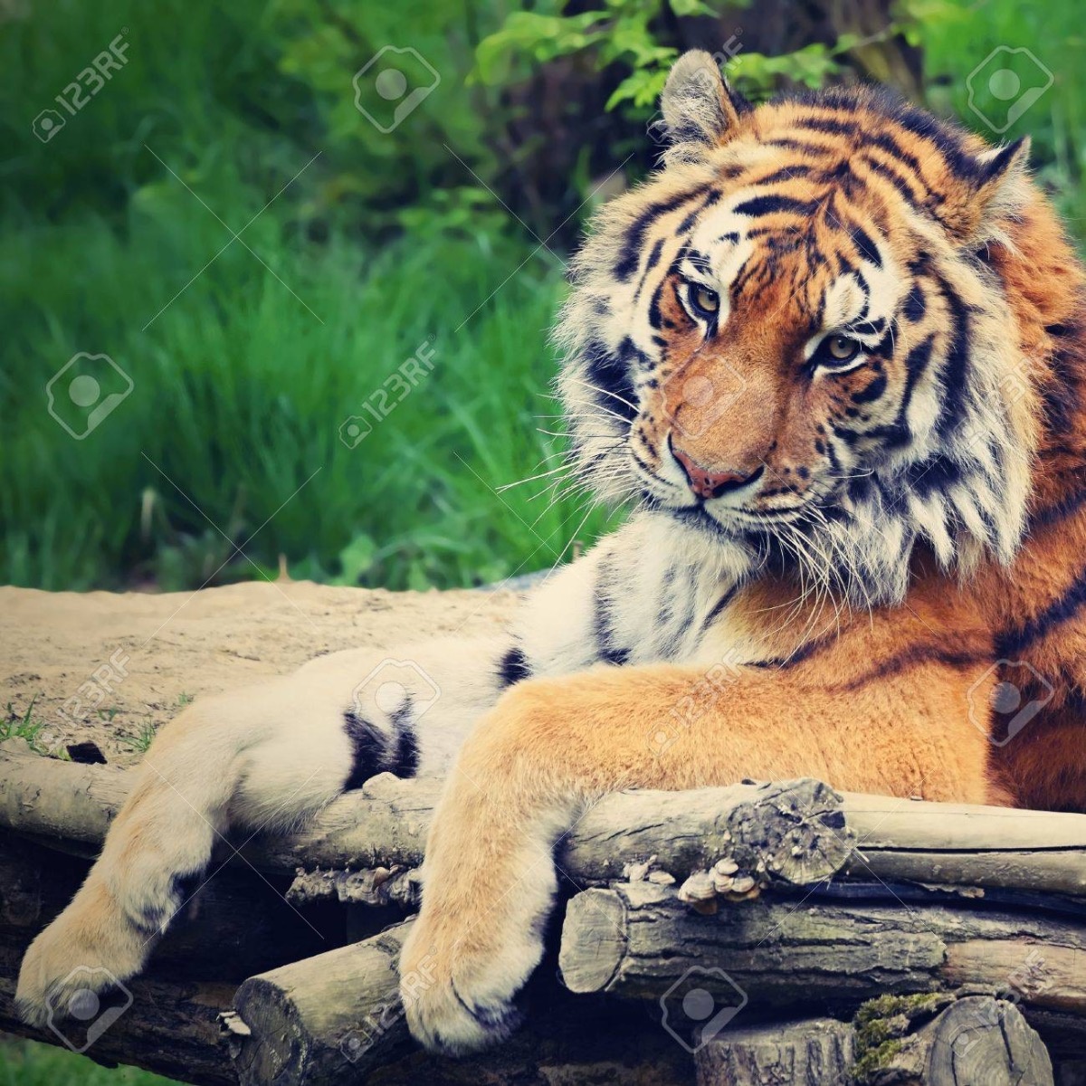 2ac90d97-3aaf-4f8e-8315-d2705bb9ace6