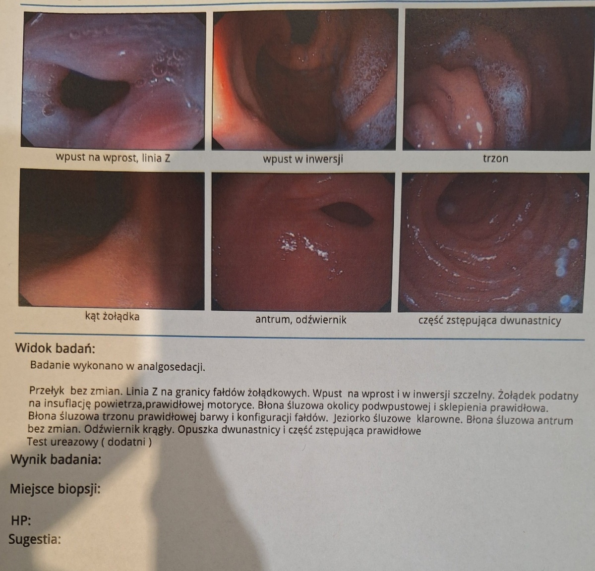 fe7d9e29-145f-4ef2-bfce-b88587ae141f