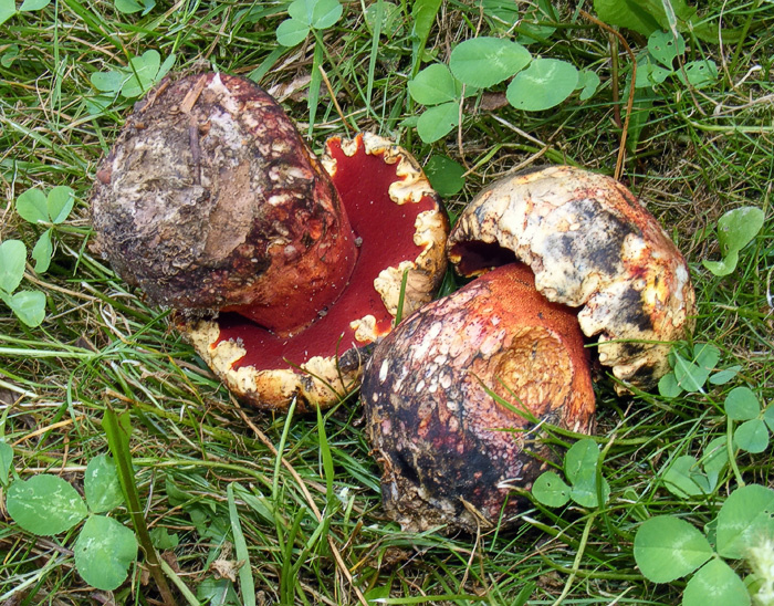 d41da366-6421-4cf2-9589-7a75f1c7102a