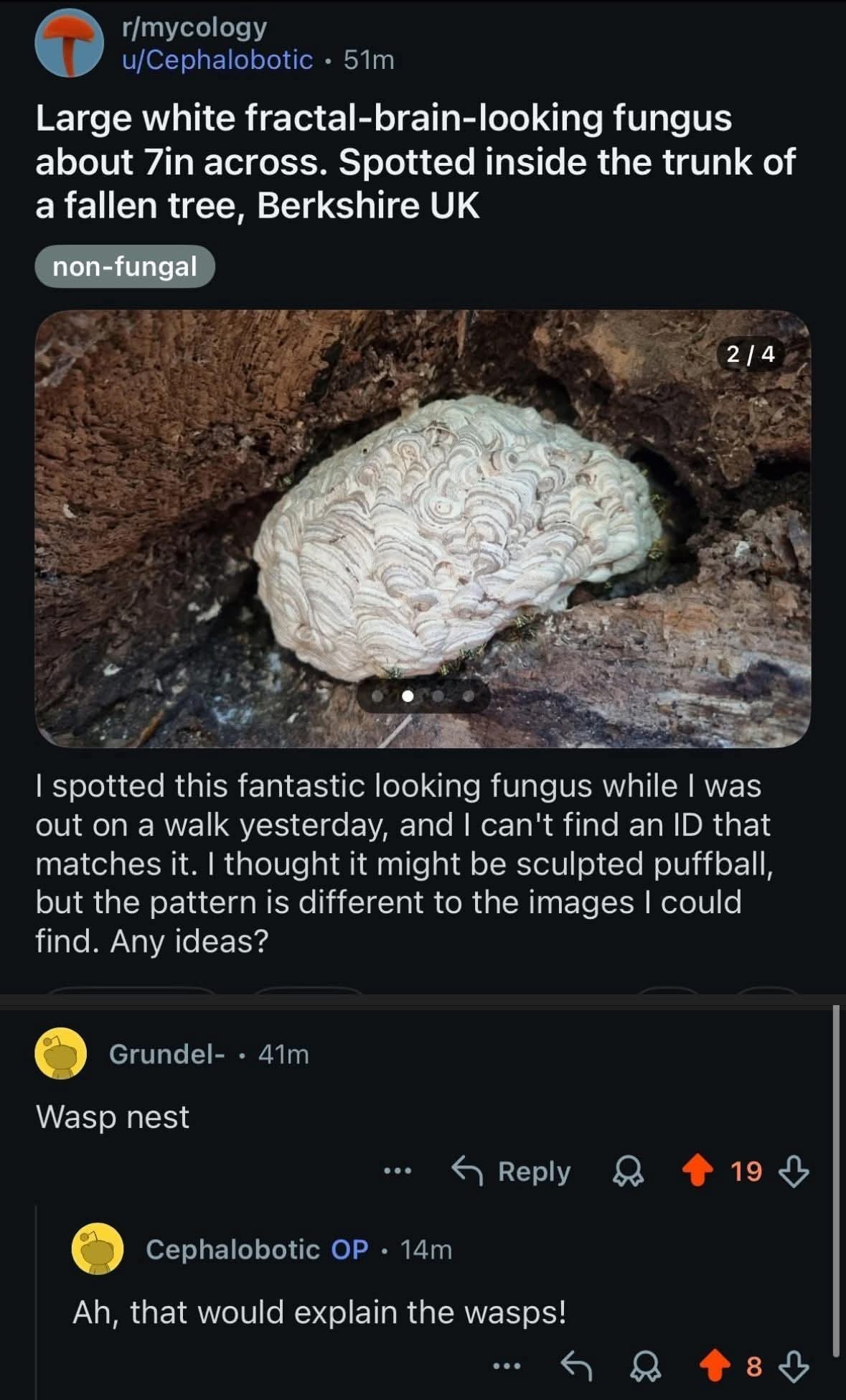 6a16e5c8-1069-4163-a05f-7a68b635a4a8