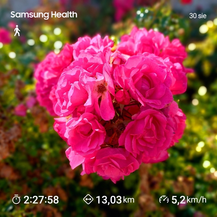 ace0ddc6-5b84-4866-b231-260137878ed3